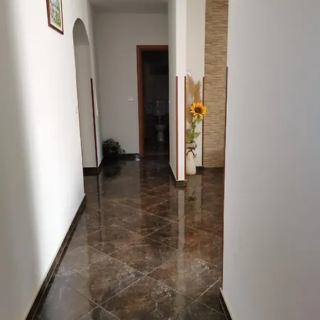 Apartment Dalmatini *