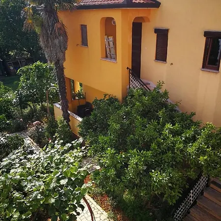 Dalmatini Apartment *