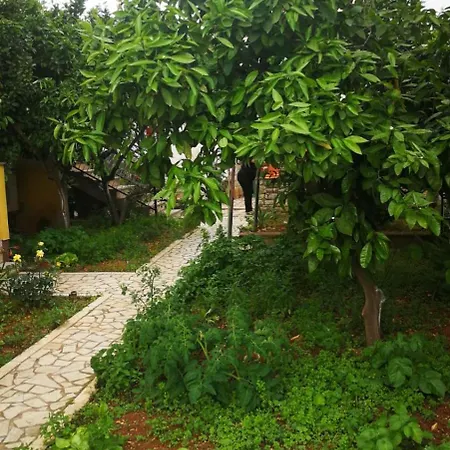 Apartment Dalmatini